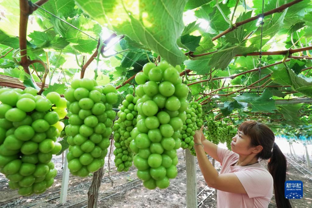 润发棋牌游戏